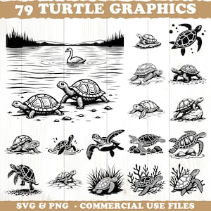 May include: A collection of 79 turtle graphics in black and white. The illustrations include turtles in various poses, some in water, and others on land. The text "SVG & PNG - COMMERCIAL USE FILES" is at the bottom.