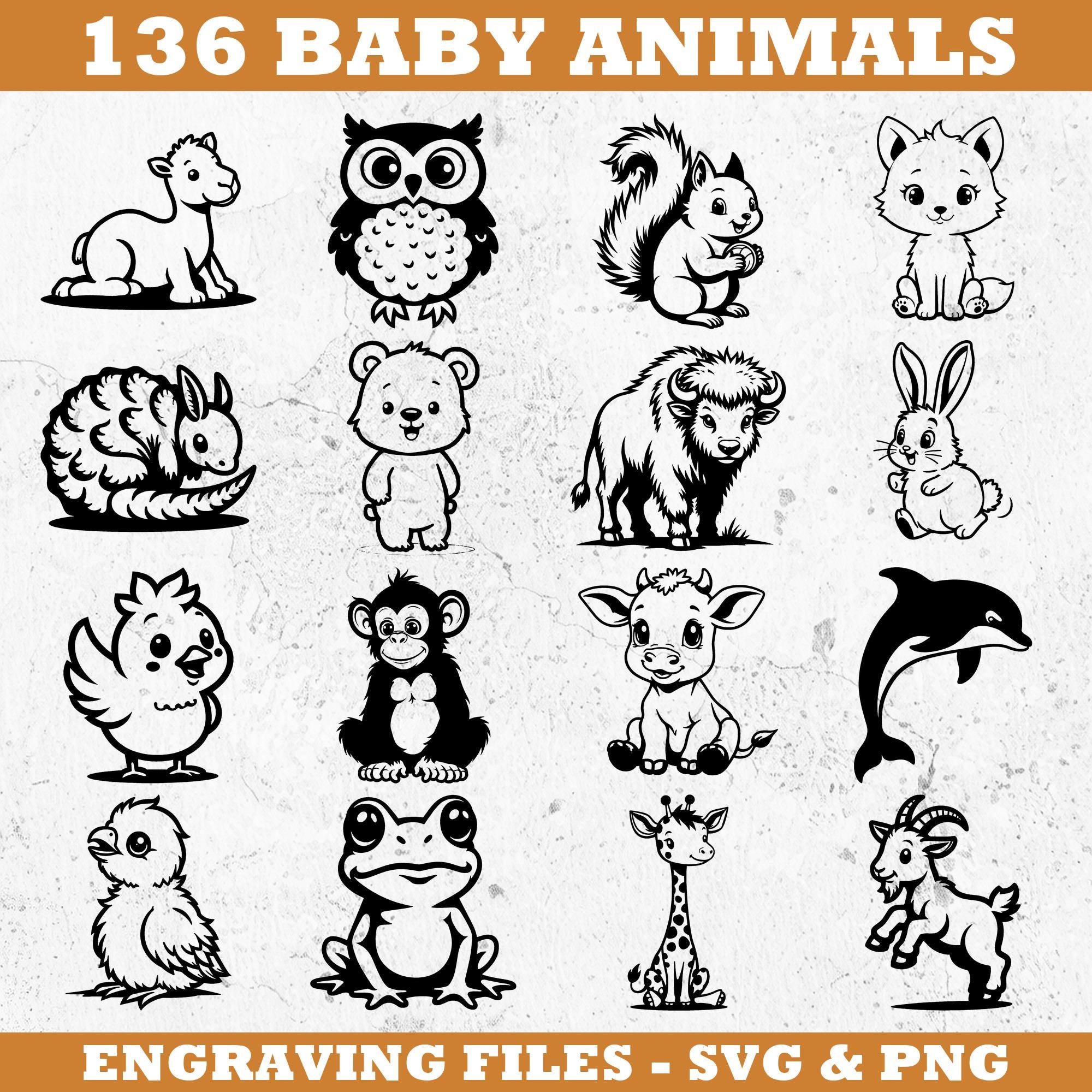 Baby Animals Svg & Png Bundle for Cricut and Laser Engrave Crafts ...