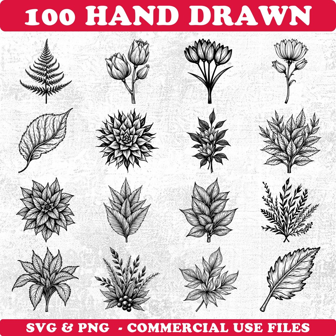 Hand Drawn Botanical Svg & Png Bundle for Cricut and Laser Engrave ...