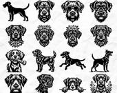 Wirehaired Vizsla Dog Svg & Png Bundle for Cricut and Laser Engrave Projects instant downloads