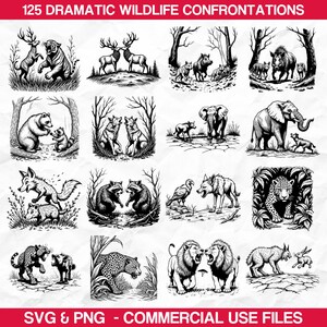 May include: Black and white illustrations of wildlife confrontations. The image features various animals, including tigers, deer, bears, wolves, elephants, foxes, raccoons, leopards, lions, and a rhino. Text at the top reads "125 DRAMATIC WILDLIFE CONFRONTATIONS".