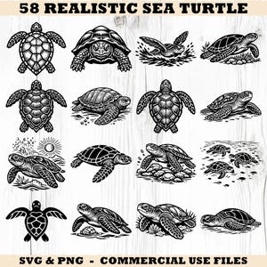 Peut inclure: Douze illustrations monochromes de tortues de mer dans diverses poses. L'image comprend le texte "58 REALISTIC SEA TURTLE" en haut et "SVG & PNG - COMMERCIAL USE FILES" en bas.