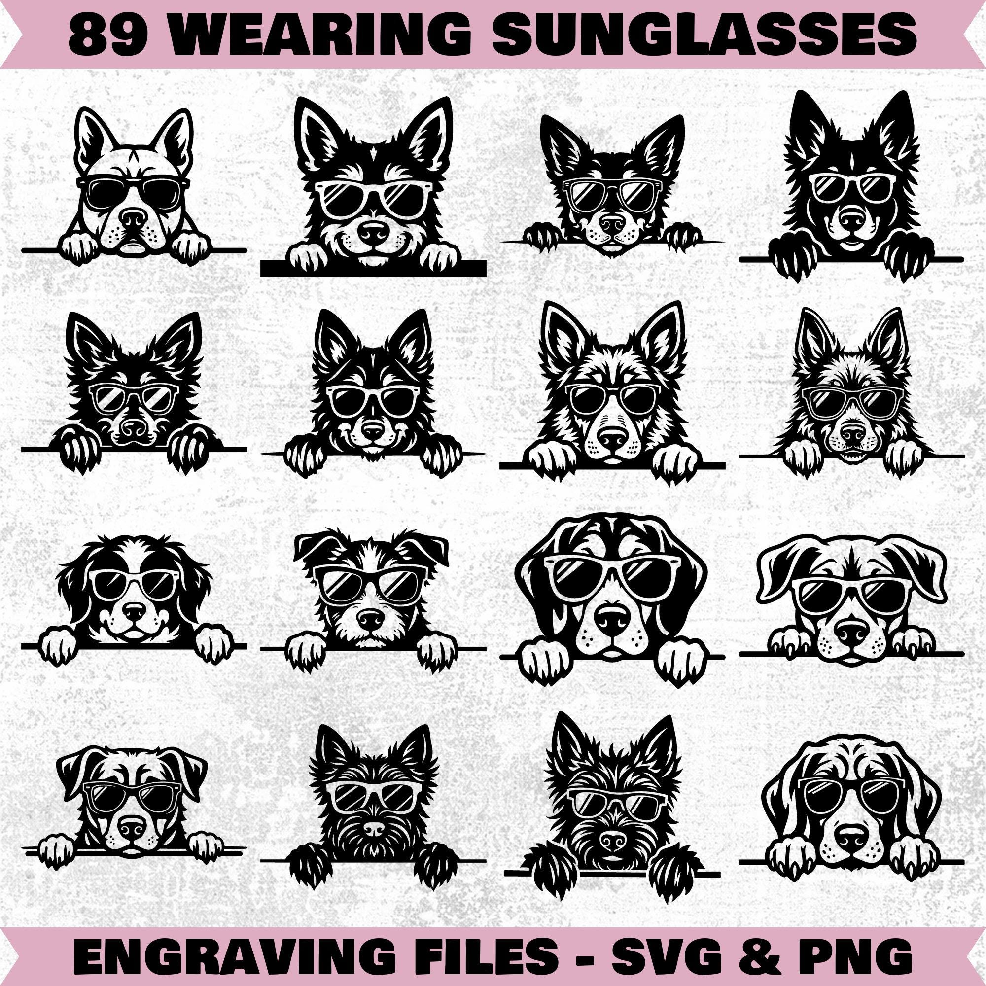 Dog SVG PNG Bundle for Cricut & Laser Engrave Projects With Paw Prints ...