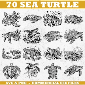 May include: A collection of 12 black and white sea turtle illustrations in various poses. The image includes the text "70 SEA TURTLE" at the top and "SVG & PNG - COMMERCIAL USE FILES" at the bottom.