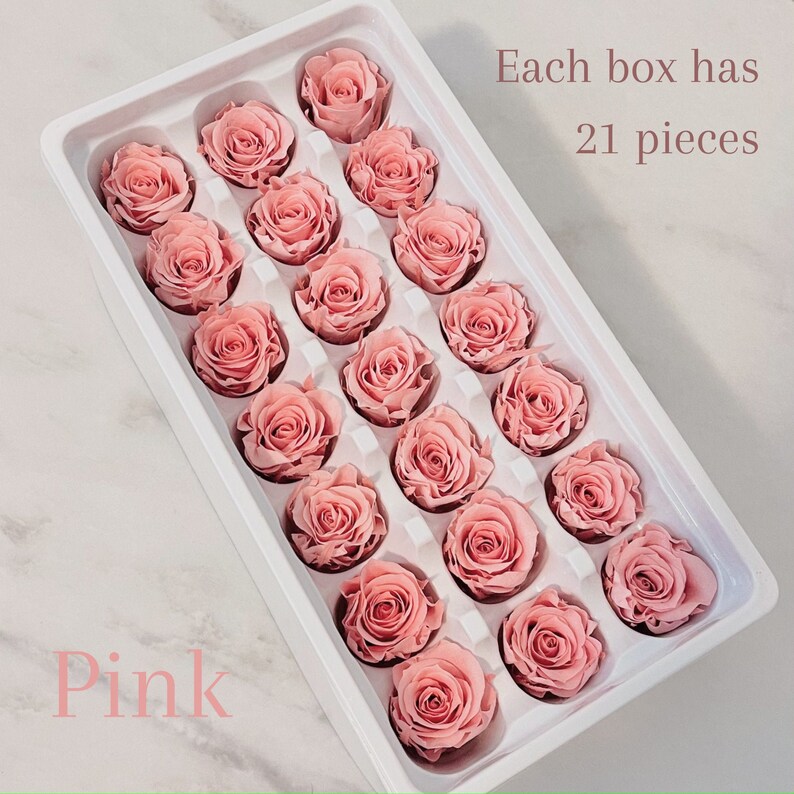 Mini Real Preserved Roses Wholesale Forever Rose Dried Etsy
