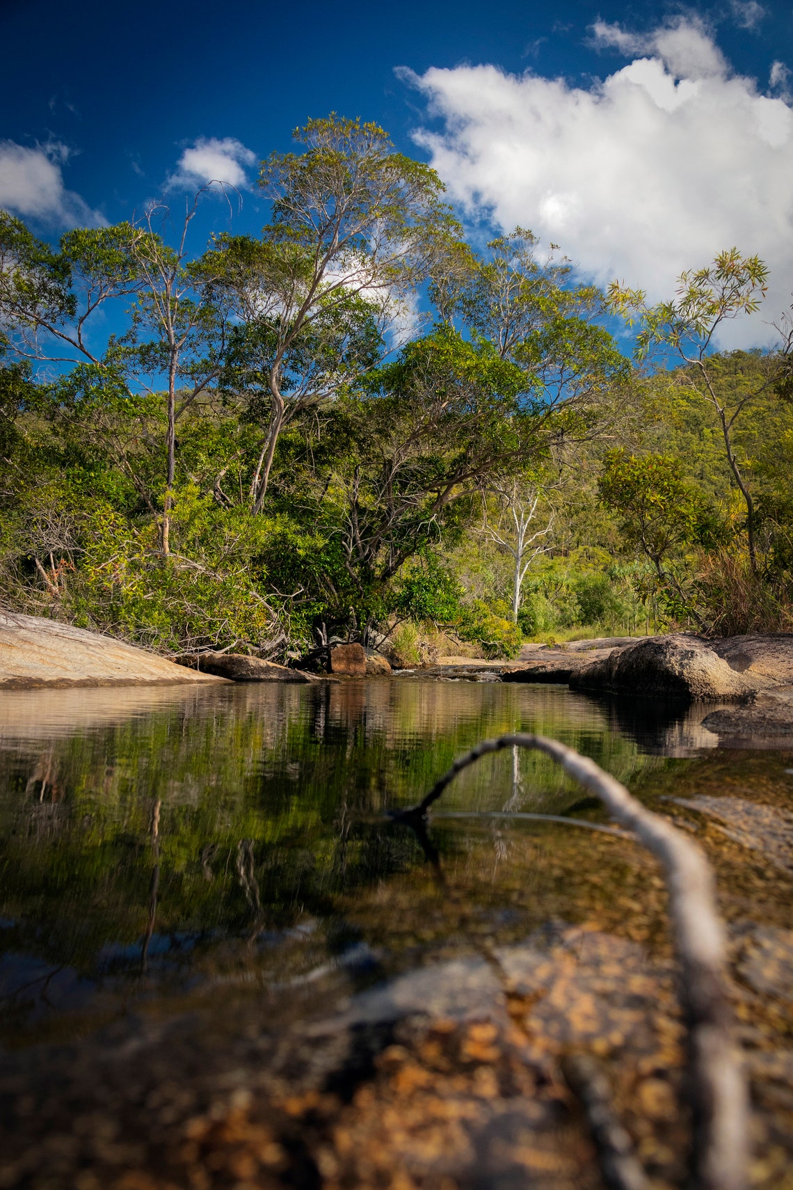 Davis Creek Far North Queensland. Etsy