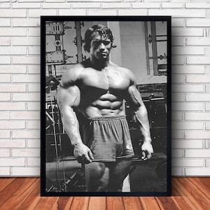 Pôster esportivo de Arnold Schwarzenegger em tela para decoração de parede de quarto familiar (opção com moldura) Style #2