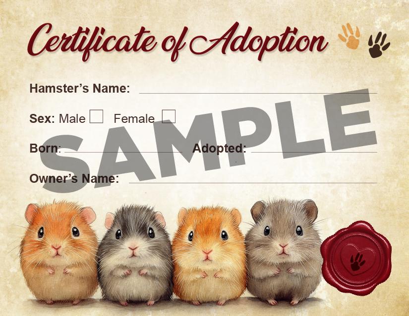 Hamster Adoption UK