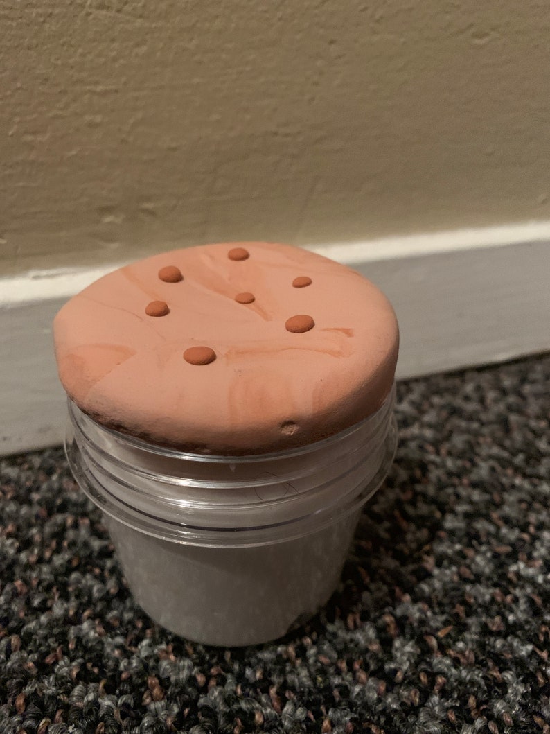 Cookies and milk