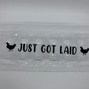 funny egg cartons image 4