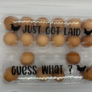 funny egg cartons image 6