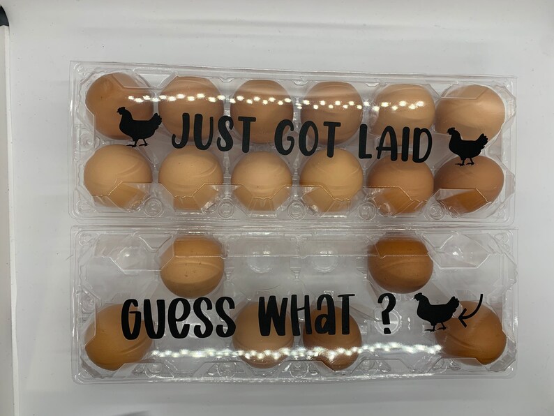 funny egg cartons image 6