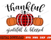 Thankful Grateful Blessed svg Fall svg Autumn svg Pumpkin svg Thanksgiving svg Svg bundle for cricut, silhouette, sublimation