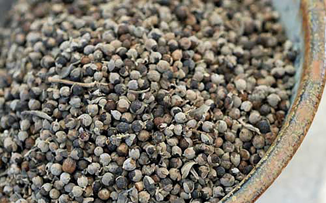 Chaste Berry Powder Vitex Powder Chaste Tree Berries Vitex Etsy