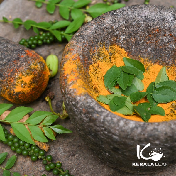 Organic Curry Leaves from Kerala