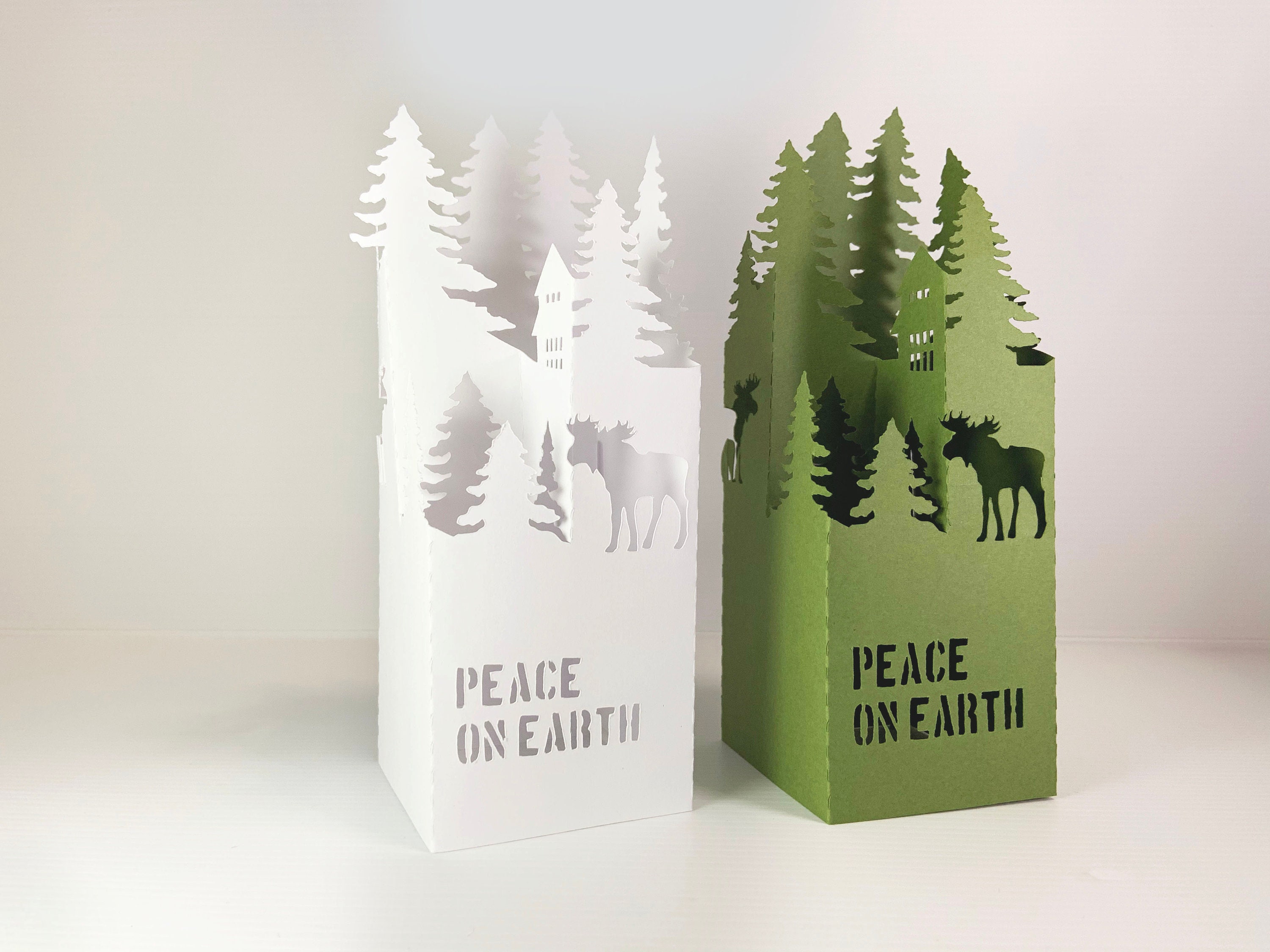 Florida Woman Finds WW II Message In A Bottle In Tropical Storm Debby's Wake | Radio