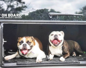 K9 On Board Car Decal | Temperature Controlled & Monitored Window Decal