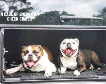 In Case Of Emergency Check Crates Car Decal | Window Decal