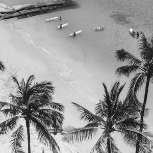 Vintage Surfing Poster Palm Tree Print Black and White Coastal Wall Art California Beach Photography Beachy Room Decor Digital Download