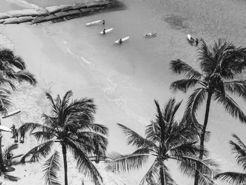 Vintage Surfing Poster Palm Tree Print Black and White Coastal Wall Art California Beach Photography Beachy Room Decor Digital Download