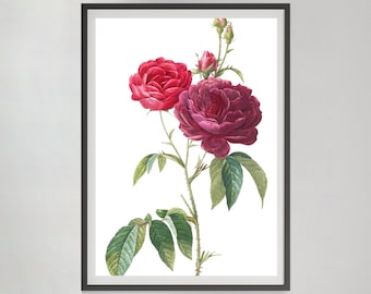 Vintage Rose Print: Antique Floral Painting, Bedroom Wall Art (Digital Download)
