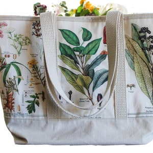 It’s Classified Tote Bag - Plant Classification Market Bag - Purse - Nature