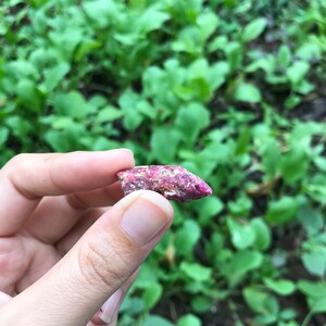 Op de afbeelding: Een close-up van een roze en rode robijnkristal, met een ruwe, natuurlijke textuur. Het kristal wordt in een hand gehouden, met een groene achtergrond van gebladerte.