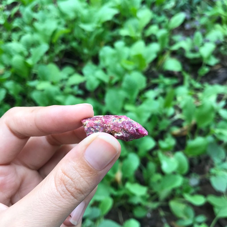 Op de afbeelding: Een close-up van een roze en rode robijnkristal, met een ruwe, natuurlijke textuur. Het kristal wordt in een hand gehouden, met een groene achtergrond van gebladerte.
