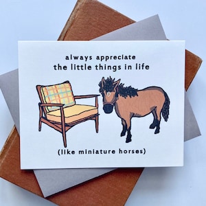 The Little Things Mini Pferd & Vintage Stuhl Freundschafts-Grußkarte, einzeln oder im 5er-Set