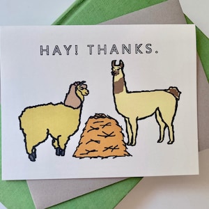 Hay Thanks Lama und Alpaka Dankeskarte, Individuell oder 5er Set