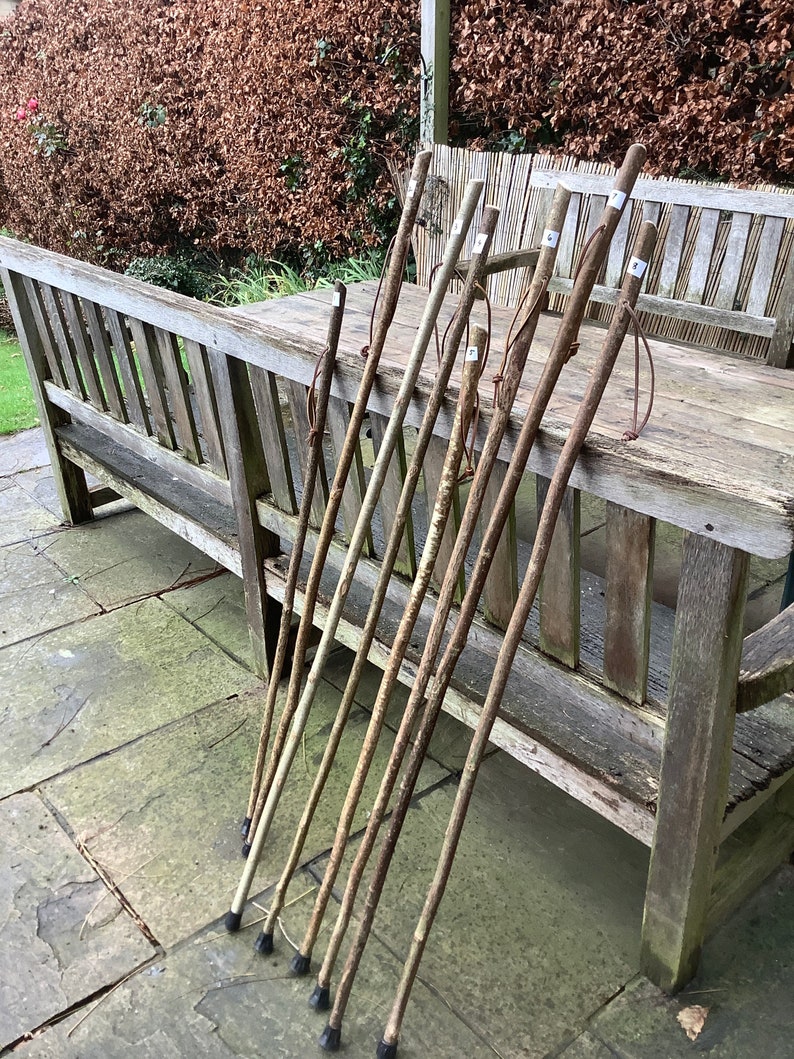 Hiking sticks | Etsy