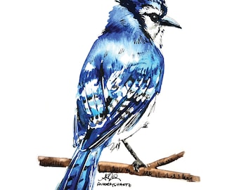 Blue Jay Print Bird Watercolor Painting Art Print Bird Lover Illustration Bird Lover Gallery Wall Nature Lover