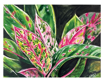 plant painting, detailed plant painting, pink houseplant, algaonema plant, plant art print, plant wall decor, watercolor plant, gift idea