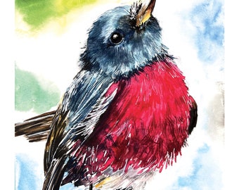 Red Bird, Red song bird, beautiful bird, rose robin, posey rosey, bird watercolor, happy bird, colorful watercolor, gift for bird lover