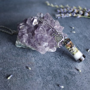 Puede incluir: Un collar de plata con un dije que parece un vaso de c&oacute;ctel lleno de hierbas y flores secas. El collar est&aacute; descansando sobre un grupo de cristales de amatista.