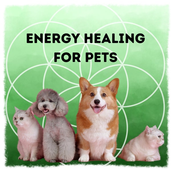 Energy healing for animals | Healing For Your Beloved Pet | Alternative therapies, including reiki, shamanic healing, and holistic healing.