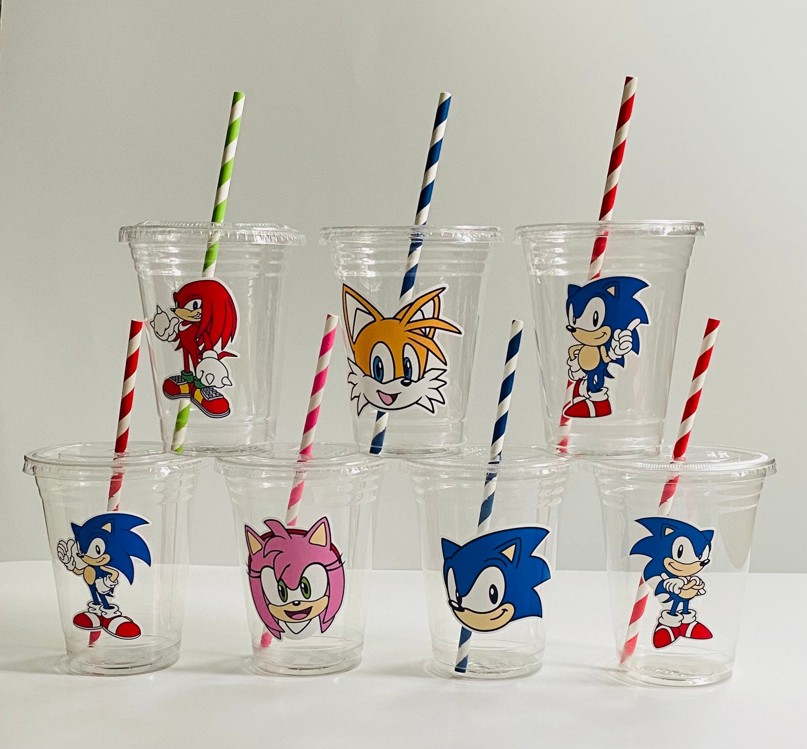 Sonic Party Cups Disposable 16oz Disposable Cups the Etsy