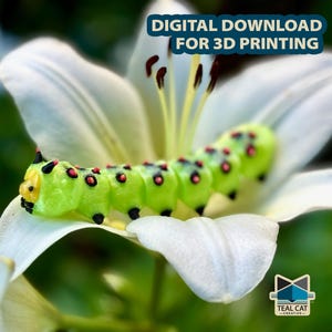 Gelenk Raupe STL-Datei | Flexi Print-in-Ort (Digitaler Download)