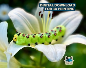 Articulated Caterpillar STL File | Flexi Print-in-Place (Digital Download)