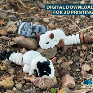 Op de afbeelding: Drie 3D-geprinte dierfiguren, elk met een ander kleurenschema. De eerste is grijs en wit, de tweede is wit met bruine accenten en de derde is wit met zwarte accenten. De figuren staan op een bedje van kleine stenen.