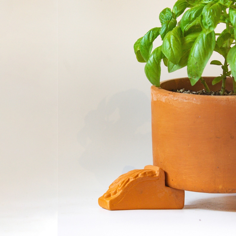 May include: A terracotta pot with a green basil plant growing inside. The pot is sitting on a terracotta pedestal.