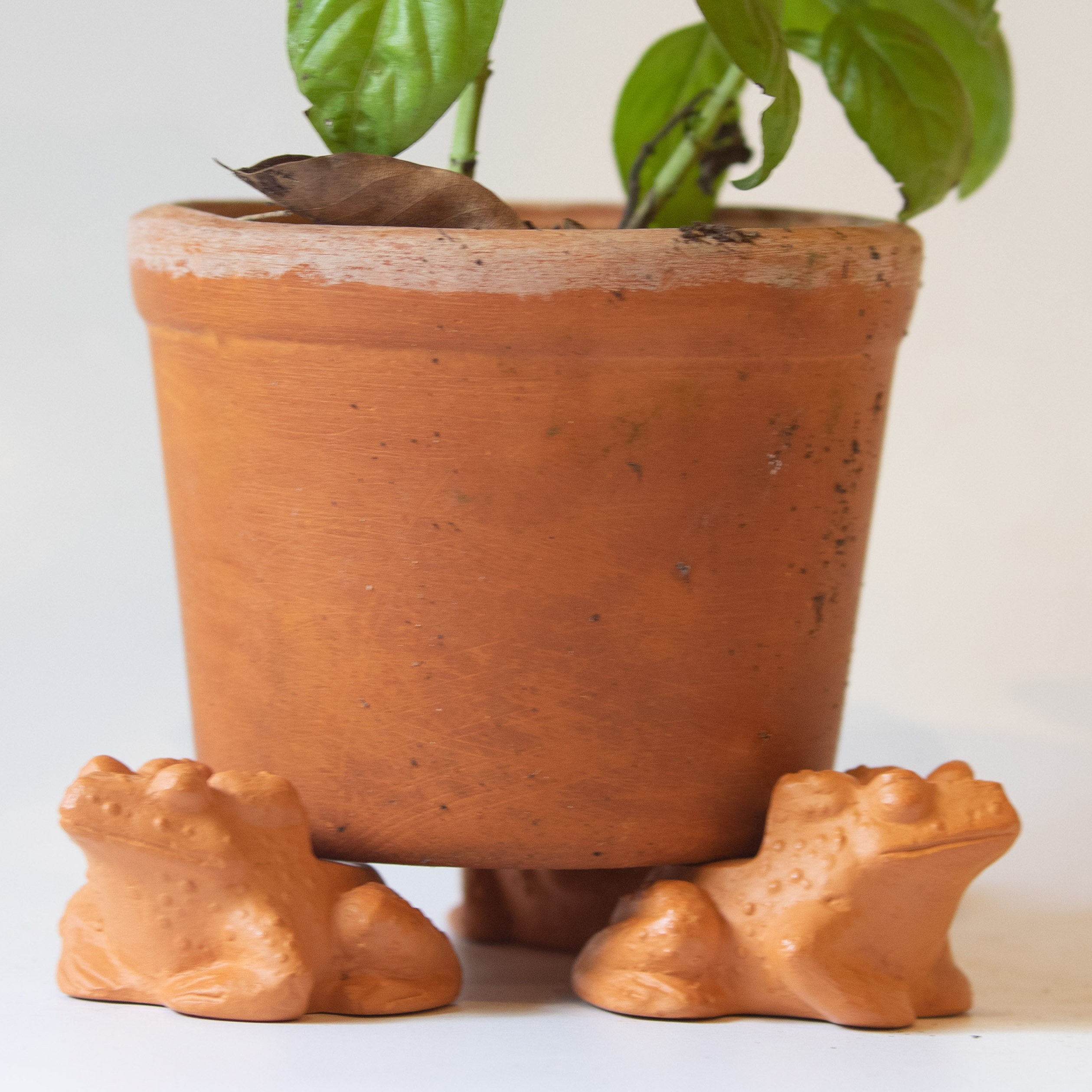 Terra Cotta Pot Feet / Terra Cotta Pot Riser Toad Set of Three Toad Plan Stant Etsy