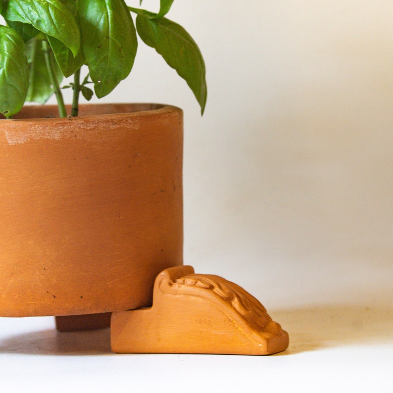 May include: A terracotta pot with a green plant growing inside. The pot has three decorative feet.