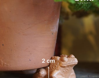 May include: A terracotta frog-shaped plant pot foot, 2 cm tall, supports a brown plant pot. The frog has a textured surface and is positioned on a weathered surface. The image includes the text "CLAY CONCEPT".