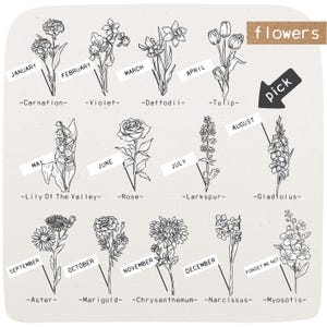 Grid-style birth flower reference chart on textured light background, showing black line drawings labeled by month—January carnation, February violet, March daffodil, April tulip, May lily of the valley, June rose, July larkspur, August gladiolus, September aster, October marigold, November chrysanthemum, December narcissus, plus “forget me not” myosotis—with a small “flowers” tag and a “pick” arrow.