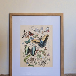 Hand-painted Linocut print