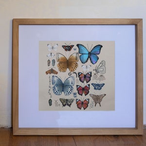 Hand-painted Linocut Print