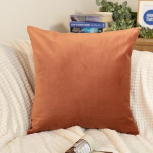Luxury Velvet Salmon Pillow Cover, Salmon Velvet Throw Pillow, Turkish Woven Velvet Pillow, All Custom Size