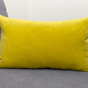 Gold Velvet Lumbar Pillow Cover Scatter Cushion Cover Home Decor Throw Pillow Covers (All Sizes)