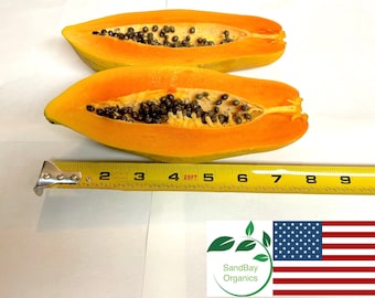 25+ Brazil Red Papaya Seeds | Rare | Non-GMO | Organic | Grown in USA